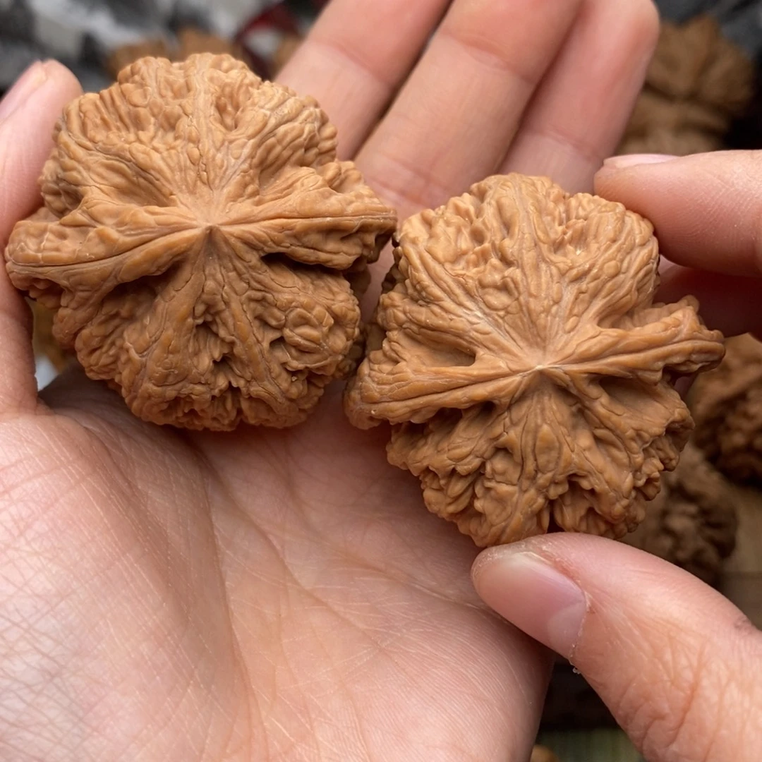 文玩核桃把件671号45全粗筋