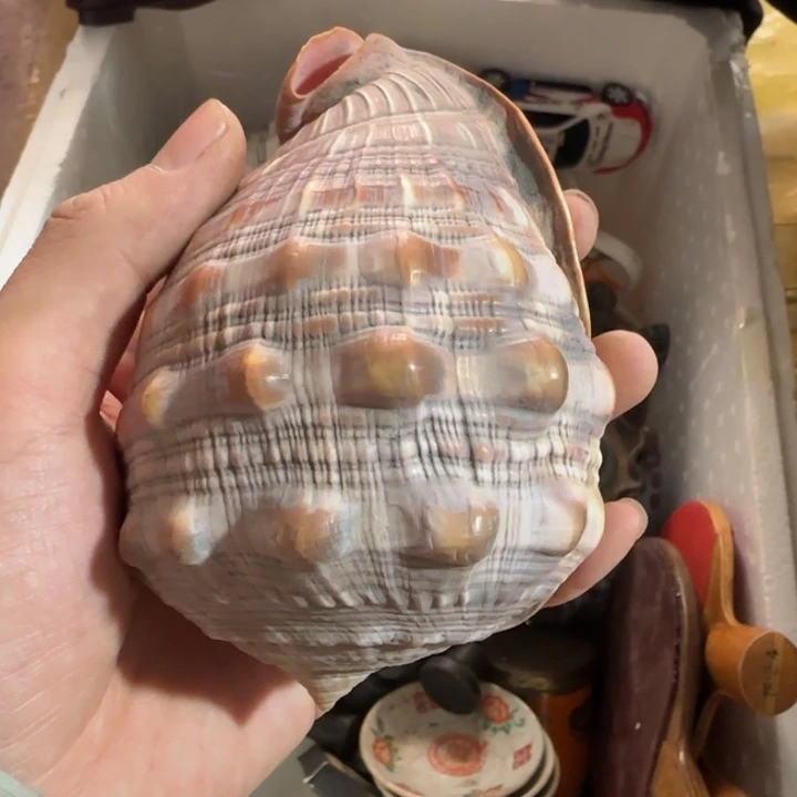 冰***梨剩下的地方沟沟壑壑月