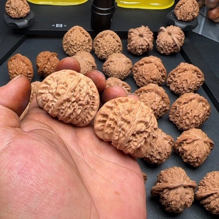 46尺白狮子微瑕疵