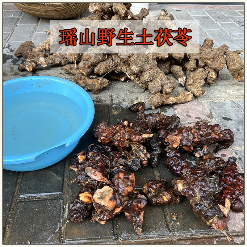 深山采挖土茯苓干货可煲汤泡茶的优质农产品