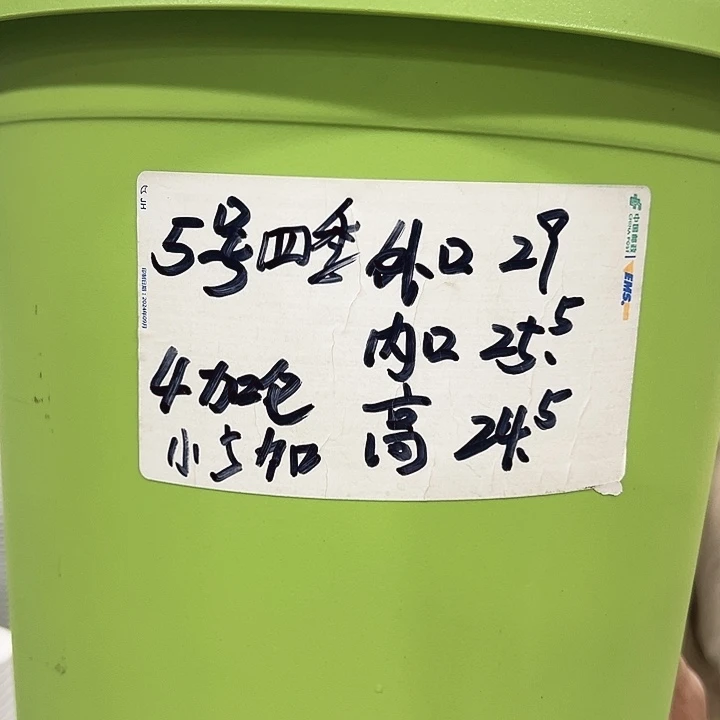 特价5号四季口29高24混色5个无托