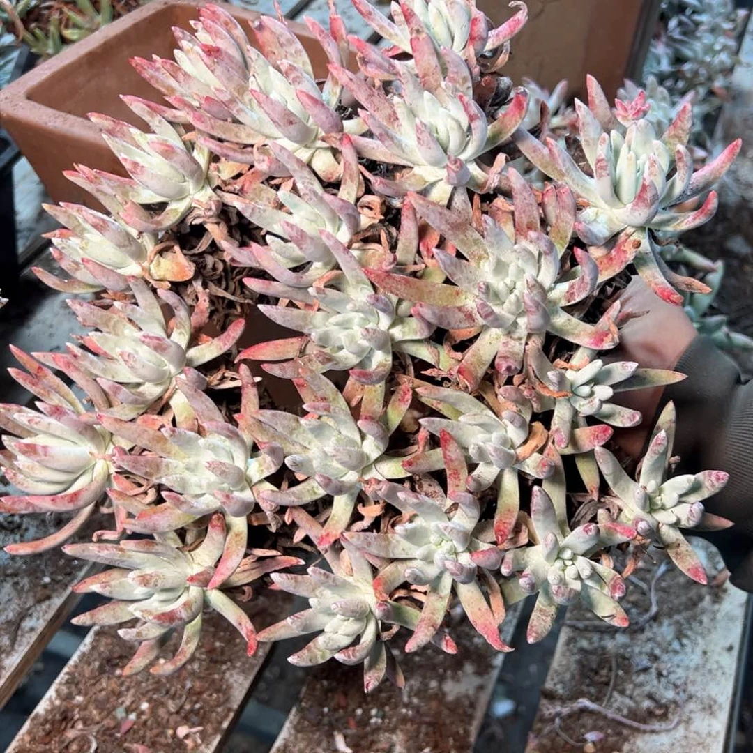 7618哈哈哈哈哈哈哈哈