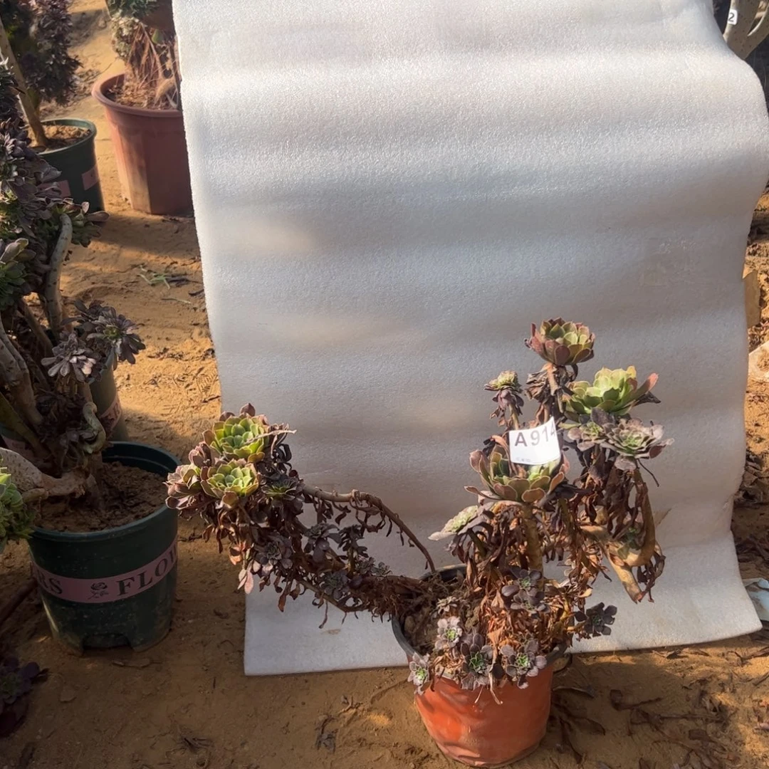 有伤铜壶914满28包邮