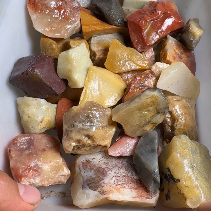 上***室寿山石寿山石的种类