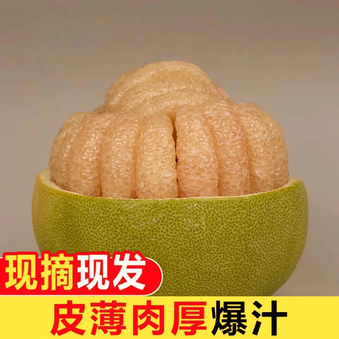 尝鲜体验装 度尾老树红心文旦柚 果园直发现摘现挑现发