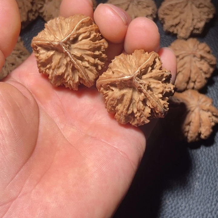 尧***瑀文玩核桃吊坠秦岭野生文玩核桃