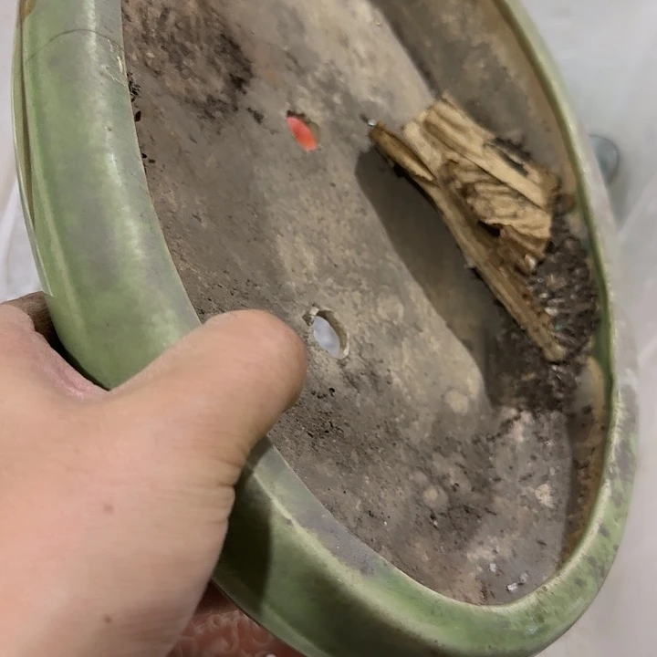 爱***地扇子吃共和国共和国共和国恍恍惚惚