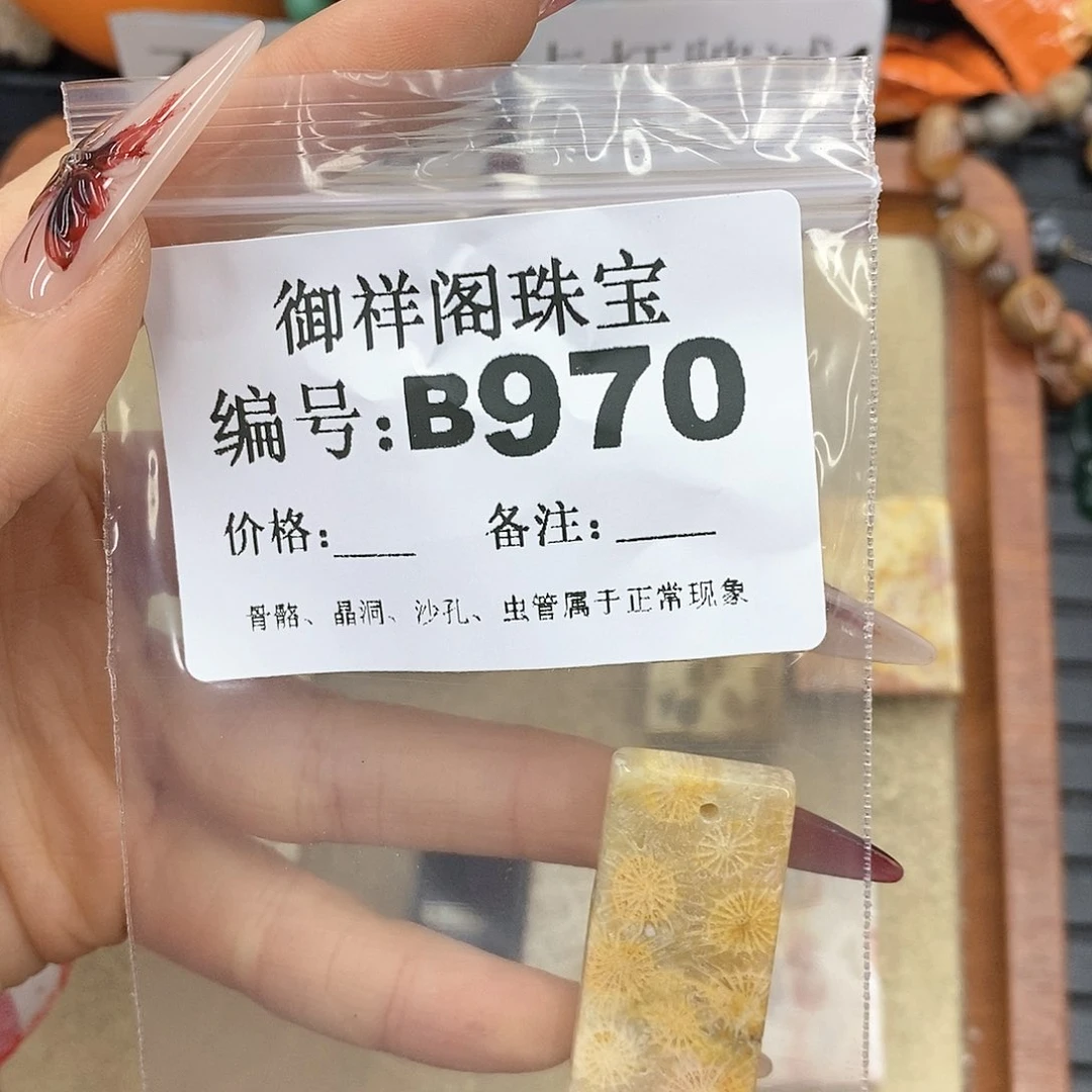 硅化珊瑚（珊瑚玉）颈饰未镶嵌泡**