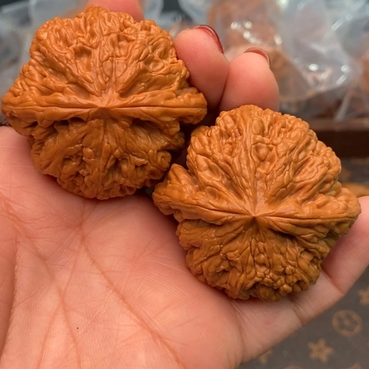 核桃大粗筋48尺核桃