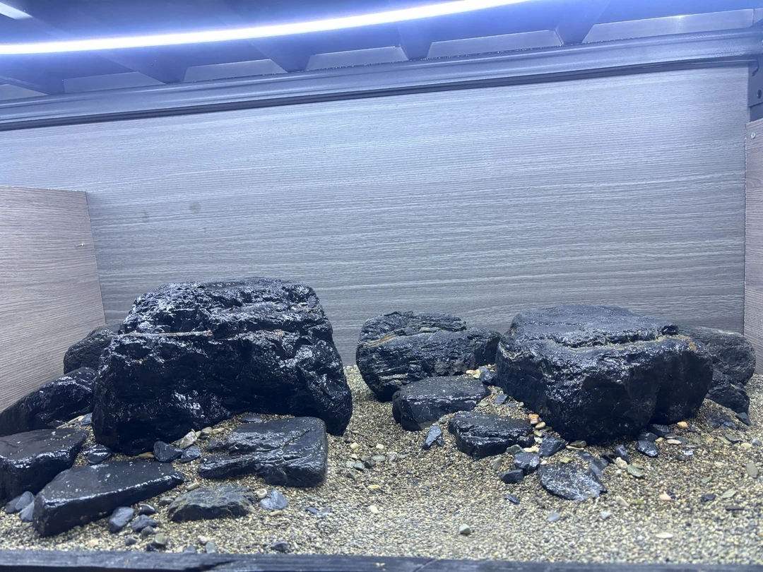 溪流黑金石造景鱼缸装饰（一物一拍，直播扣号）