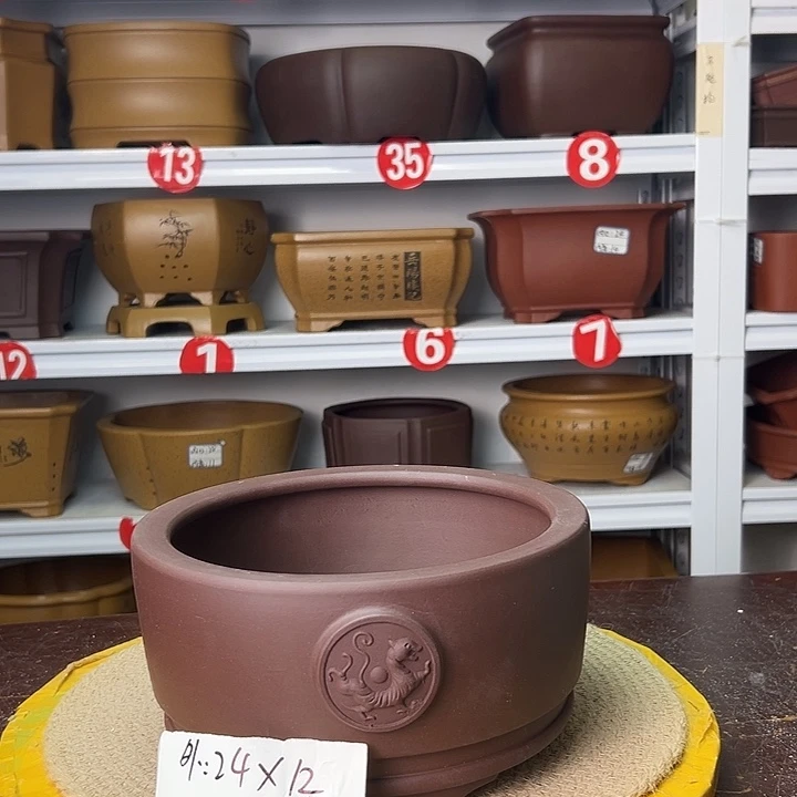 花盆紫砂蛇年大吉