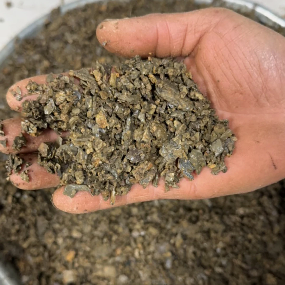 君子兰羊粪风化土适合金弹子，马兰花多肉渗水土樱花用品，等植物