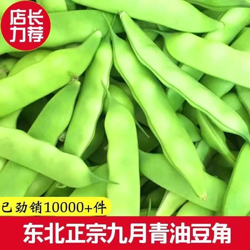 东北特产新鲜油豆角九月青现摘开锅即烂美味蔬菜