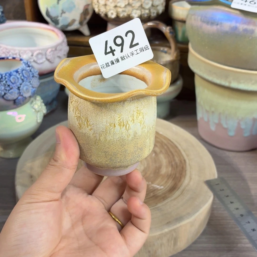 花盆花盆花盆花盆