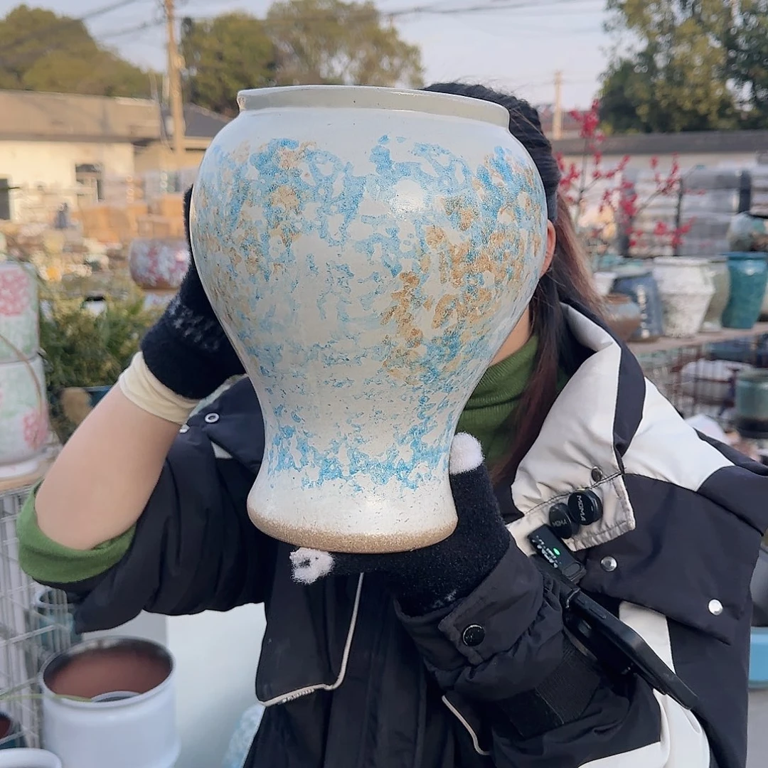 王嫂花盆1223-348高26口16