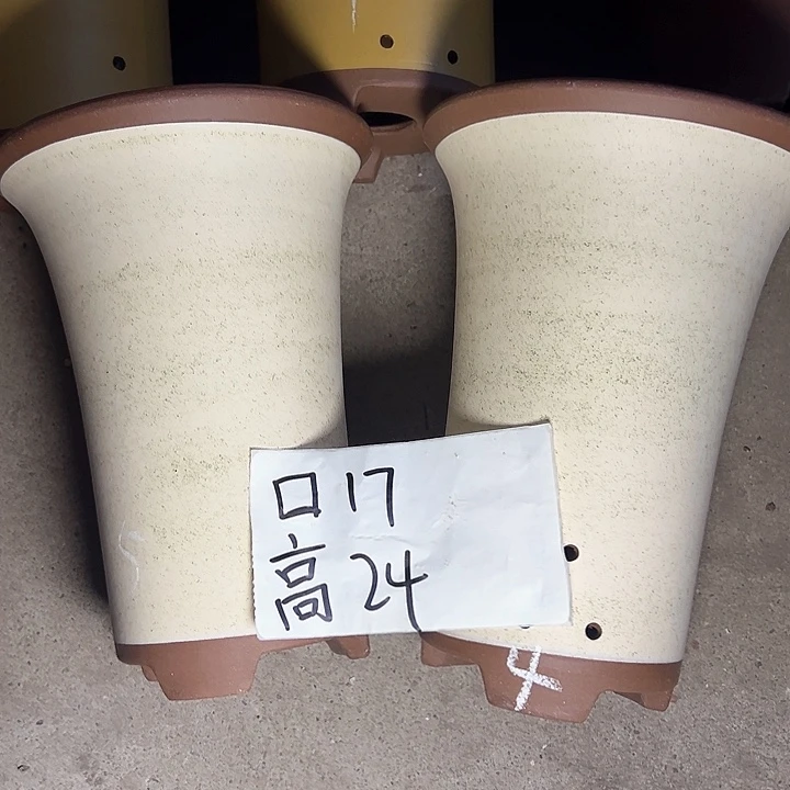 AS紫砂紫砂紫砂紫砂