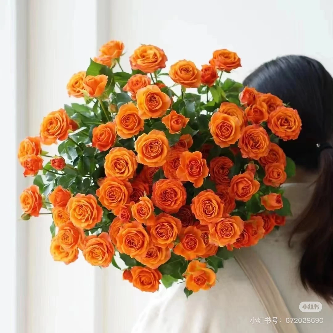 19.9单品花束多头橙芭比多头折射