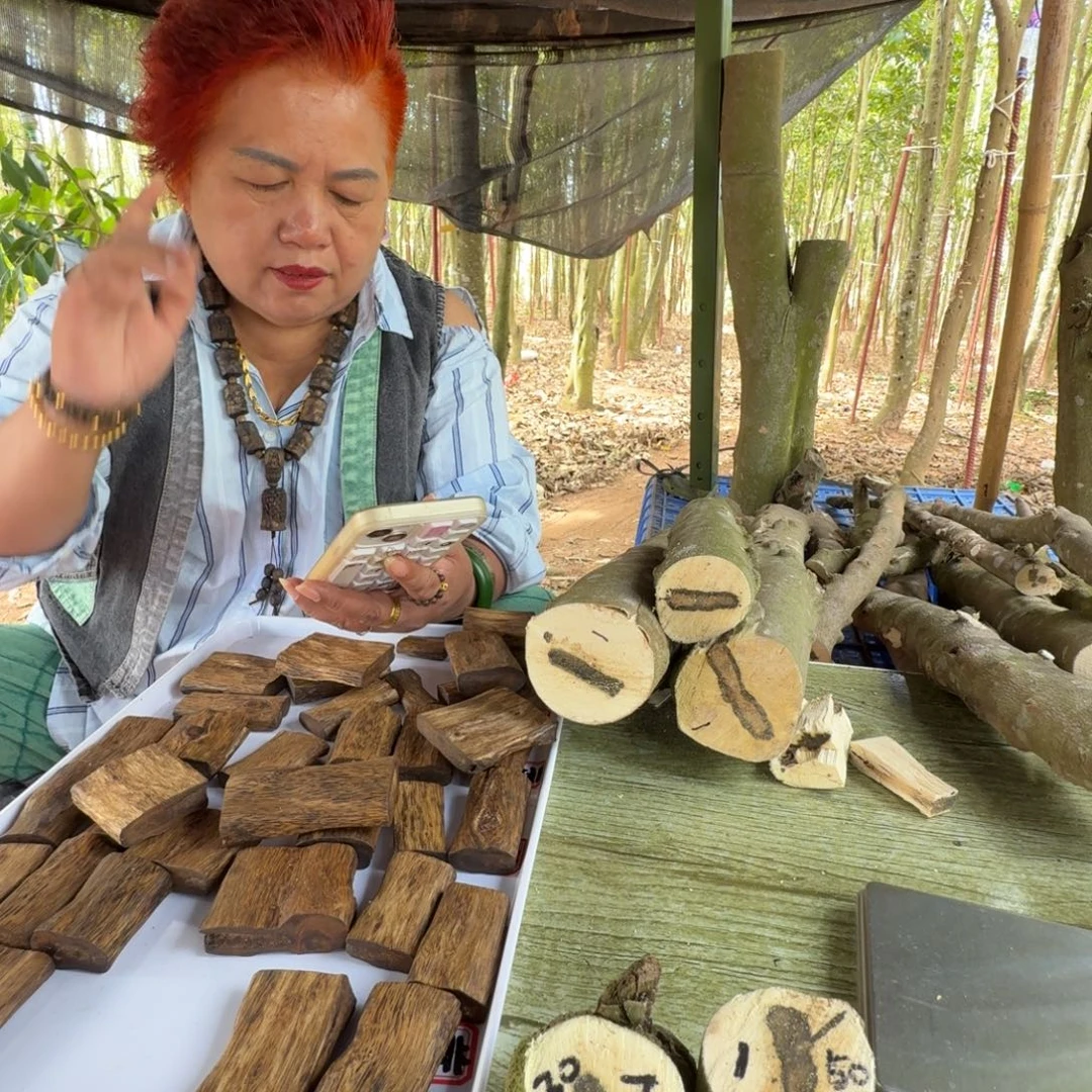 v***v线香沉香奇楠原木