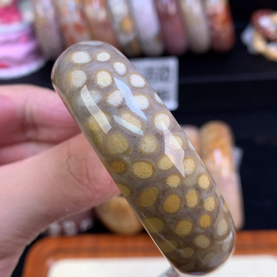【闪购商品】颈饰未镶嵌硅化珊瑚（珊瑚玉）65号皮花花54.3圈