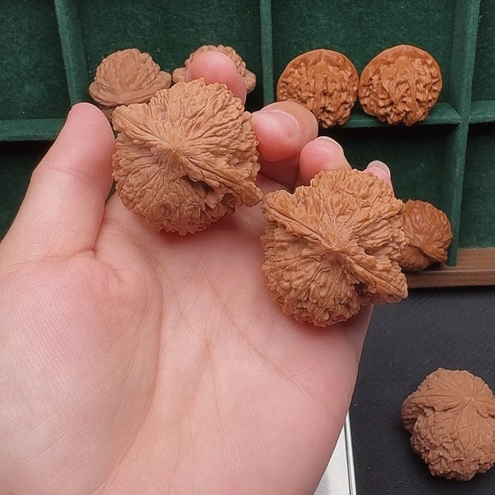 文玩核桃把件全品42尺满天星