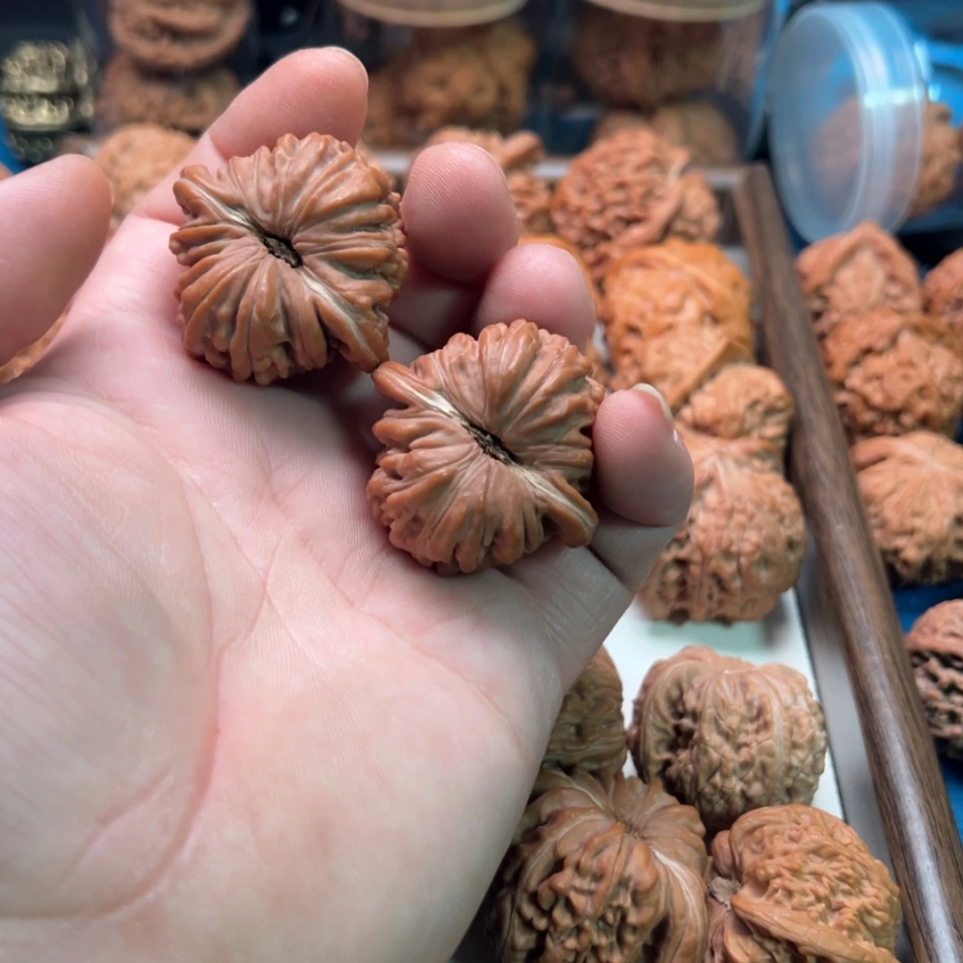 星***八桃核吊坠李李李李李子健健康康