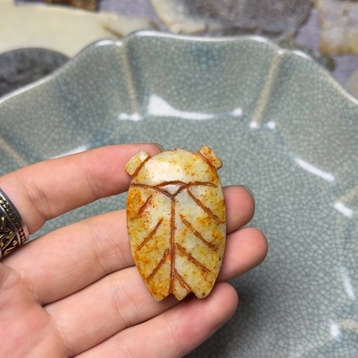 直播放漏专属链接71