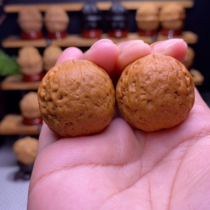 木质类云铁龙珠10号