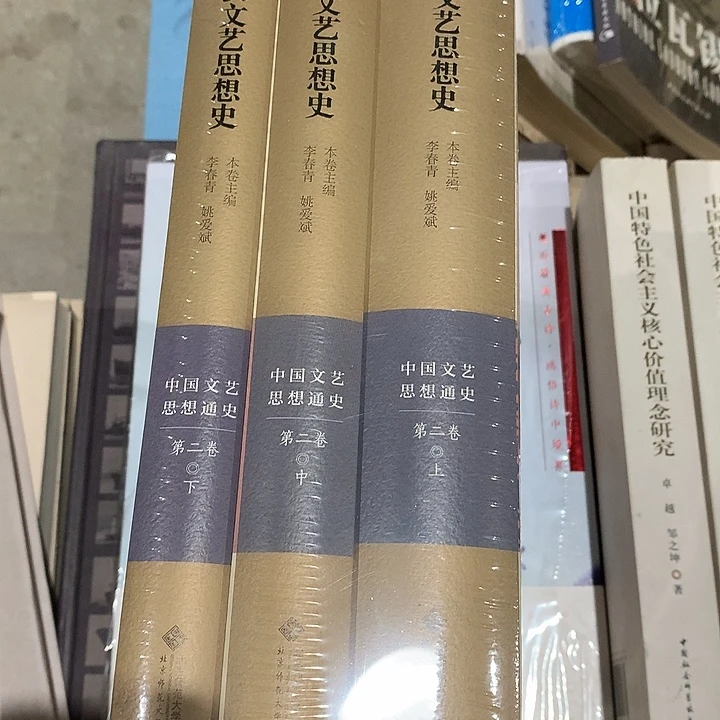 俩汉文艺思想史默认瑕疵介意勿拍