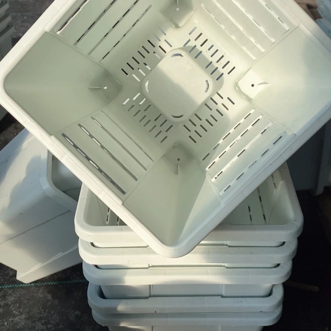 6个22口奶白方落灰无托伊特（22×24）