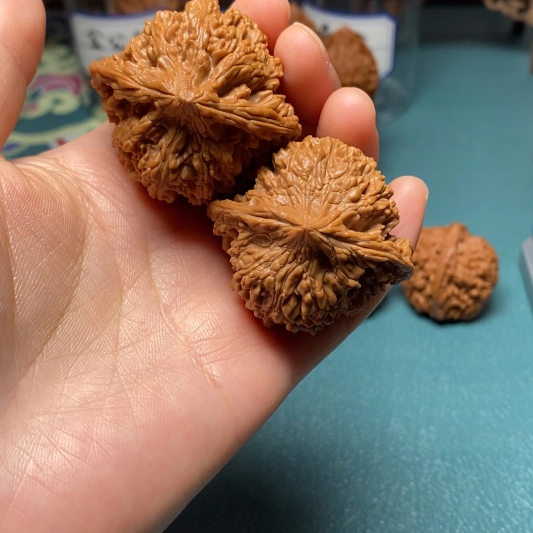 核桃44尺全品满天星