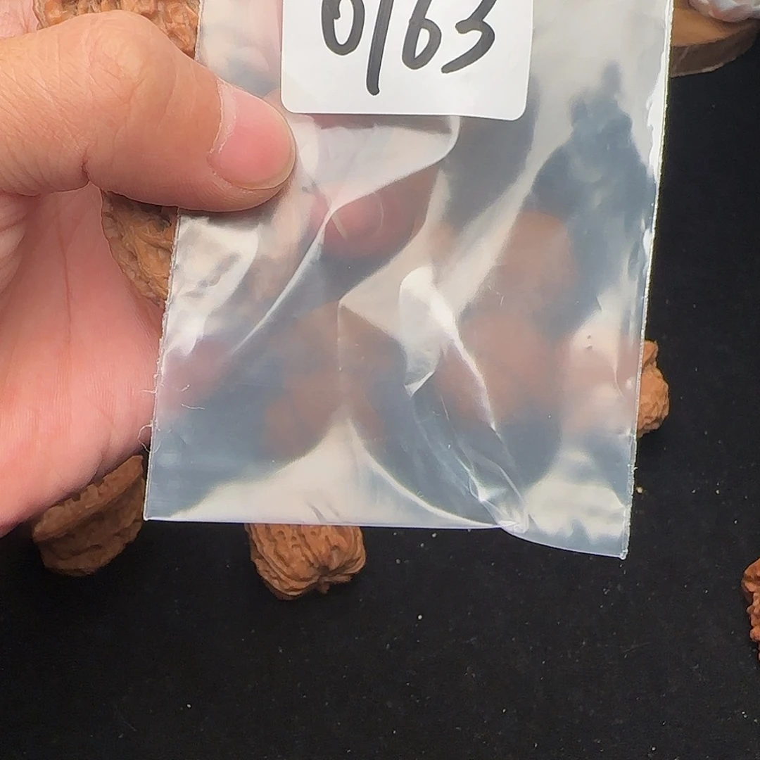 秋***吹把件文玩核桃0163全品38马老四