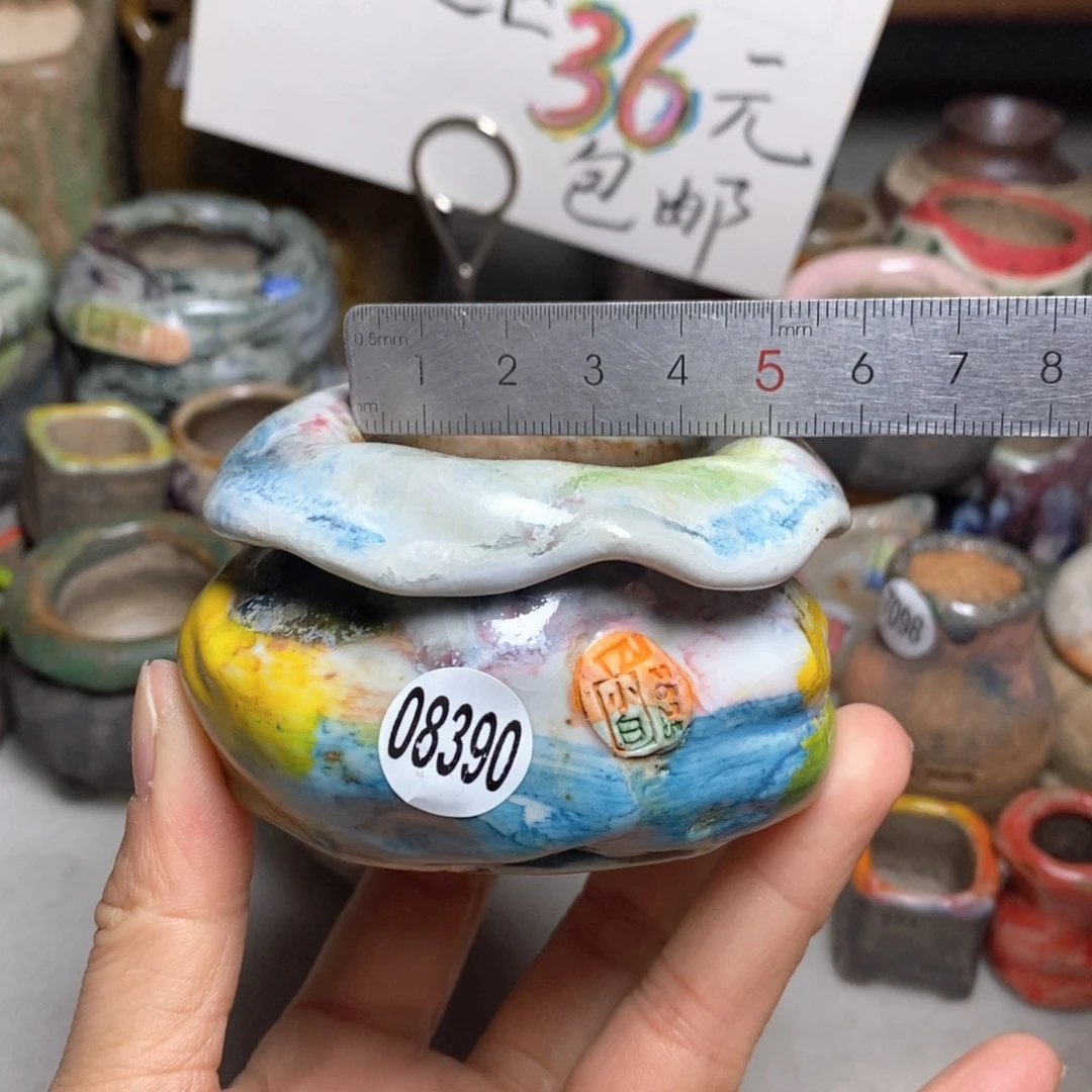 花盆拍1送一个小礼物
