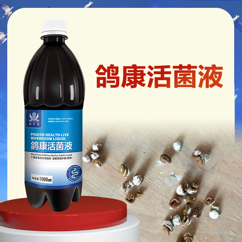 溪怡活菌王鸽用水绿便沙门氏益生菌常用调理肠道鸽子用活菌大全