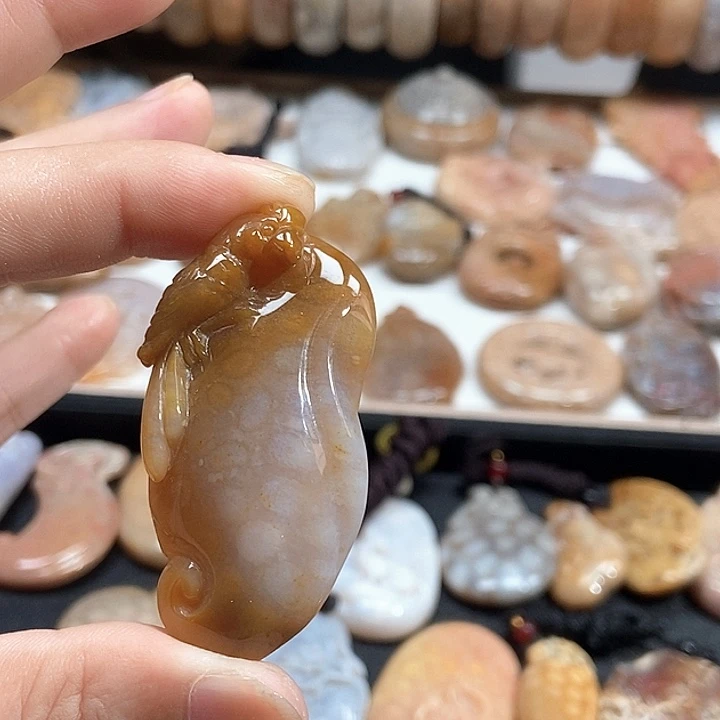 颈饰未镶嵌硅化珊瑚（珊瑚玉）