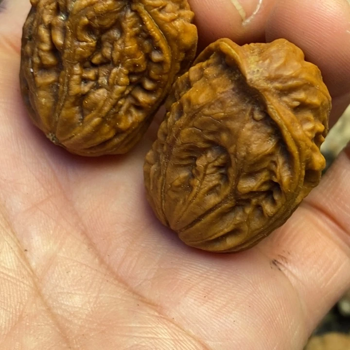 吊坠桃核娜姐真的17