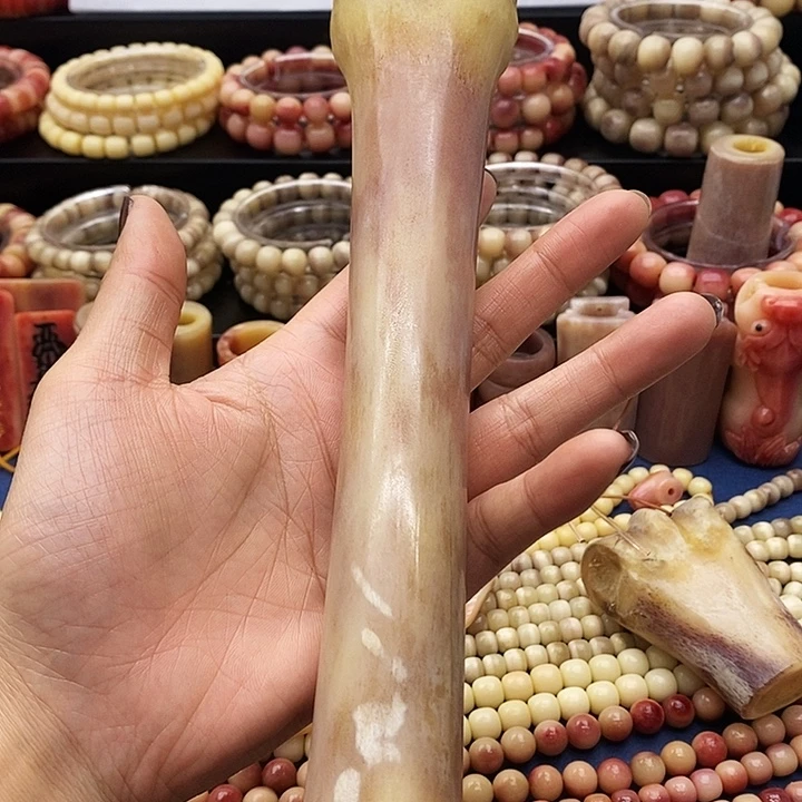 驼骨其他驼骨后退大棒骨