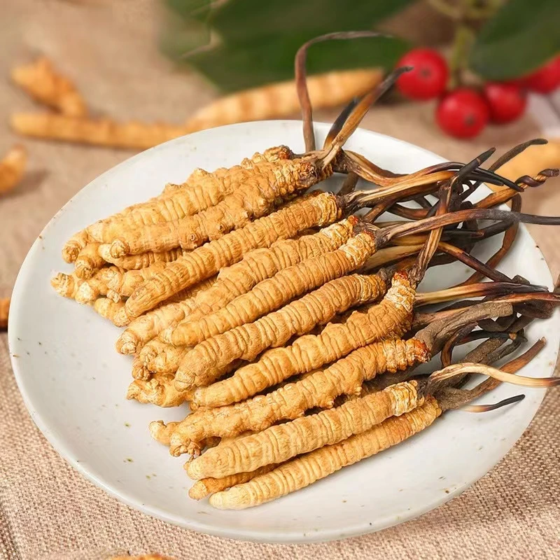 干冬虫夏草  100根 小草  飞机空运包邮