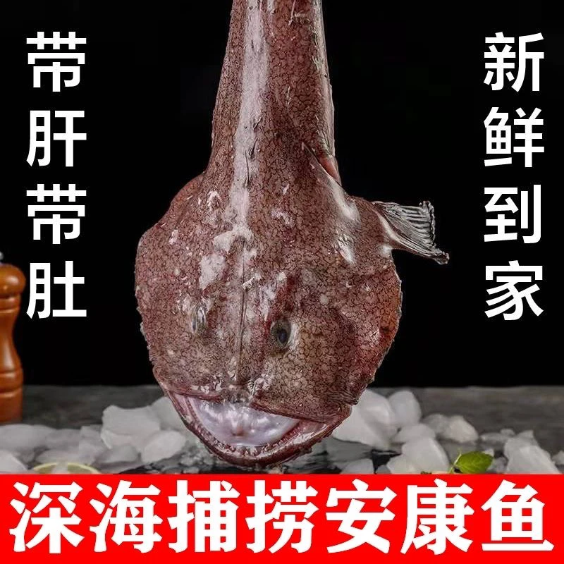 连云港发货 安康鱼带肝带肚发货