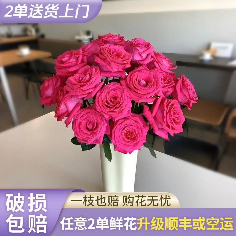 【源头优选】弗洛伊德单头玫瑰-云南直发鲜花家居水养插花鲜切花