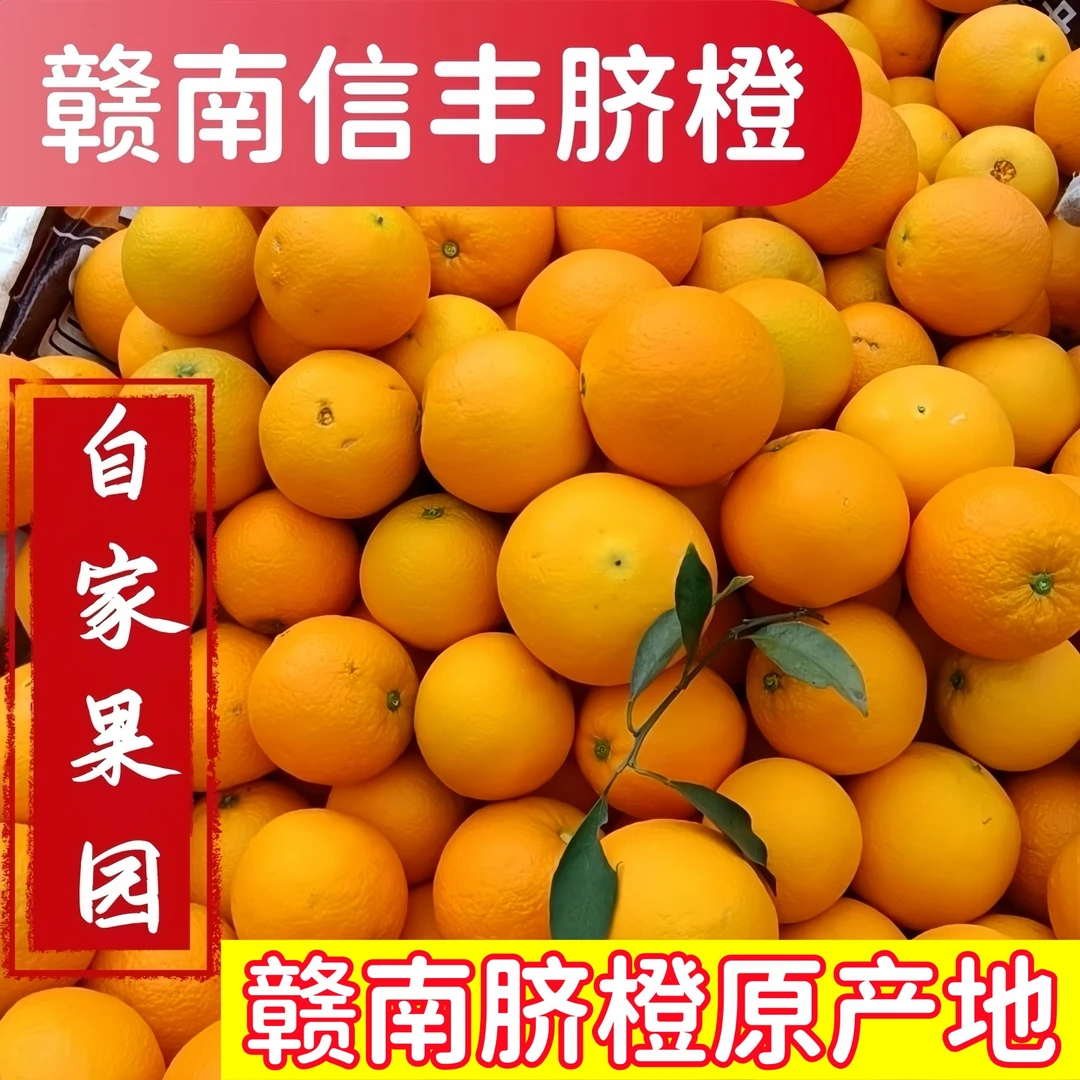 【爆甜多汁】江西赣南脐橙当季新鲜橙子水果榨汁当季手剥甜橙10斤
