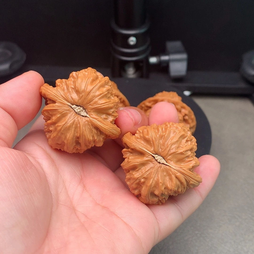 文玩核桃吊坠380号白狮子40