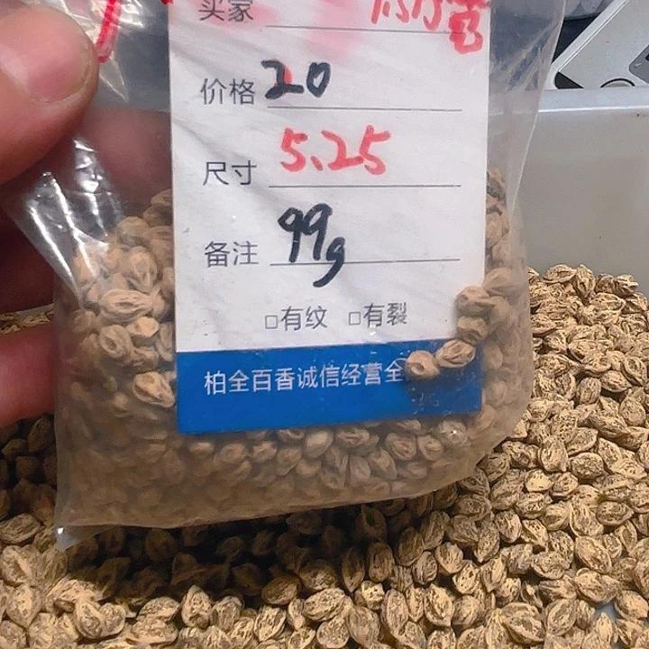 斑*柏香籽散子 99 克散子