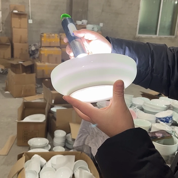 瓷片高白玉泥7英寸深盘两个包邮