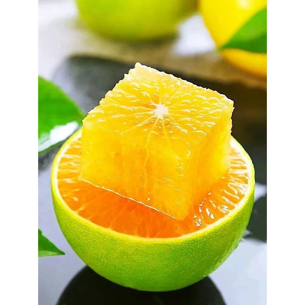 正宗云南冰糖橙哀牢山青皮冰糖橙新鲜现摘应季水果薄皮橙子褚甜橙