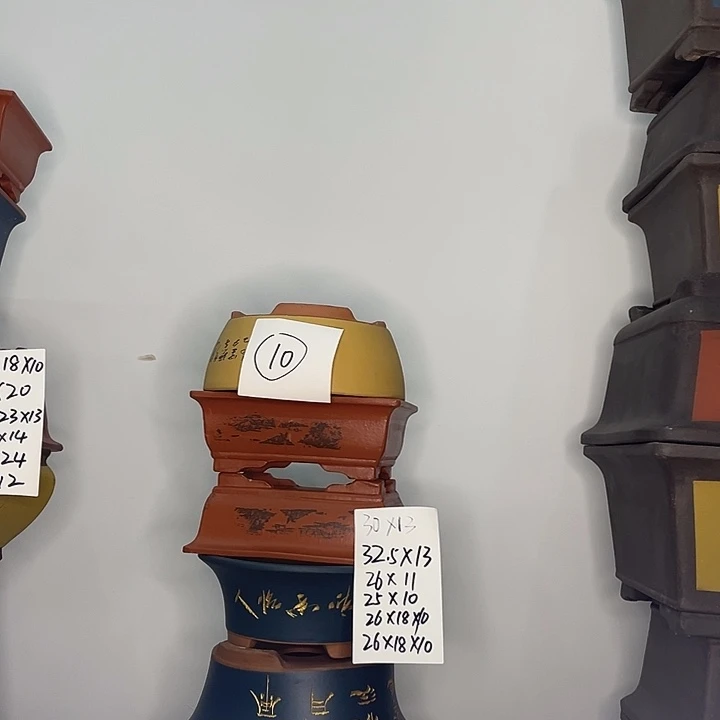 10一家漏家漏齿旅途