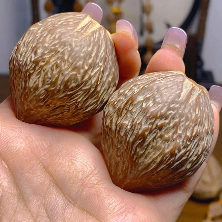 野生金蝉橄榄核把件4045