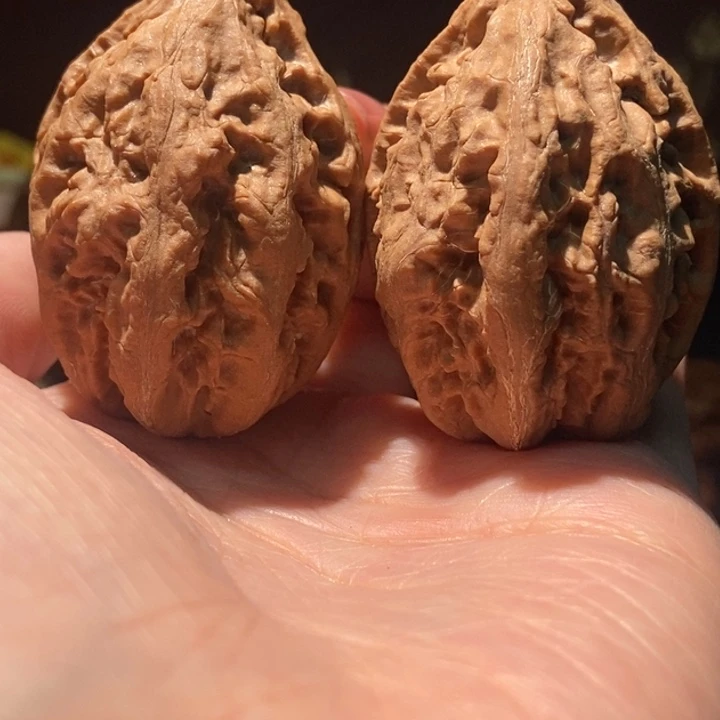 木质类聚核财婉楸81