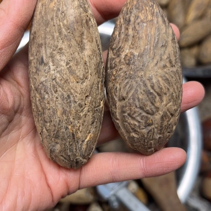 千眼菩提吊坠千眼菩提，一一二