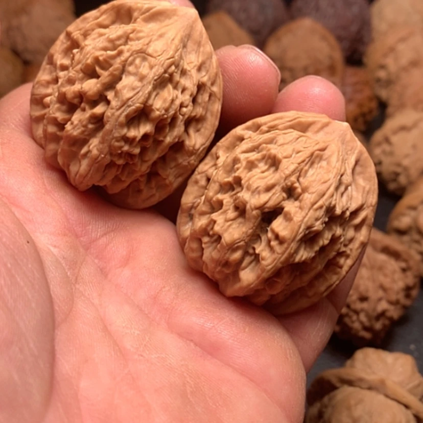 【闪购商品】麦穗虎头