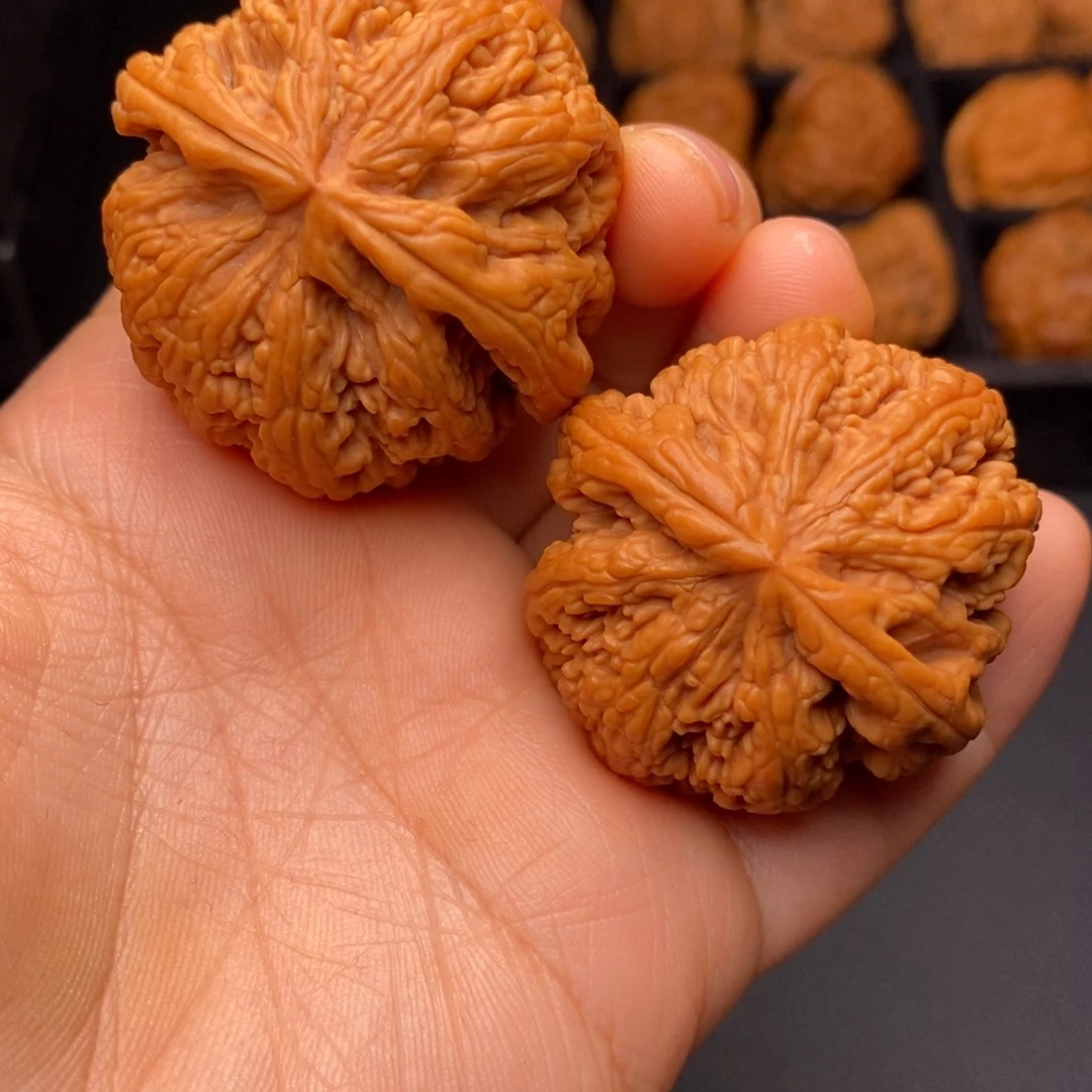 文玩核桃把件秦岭野生核桃